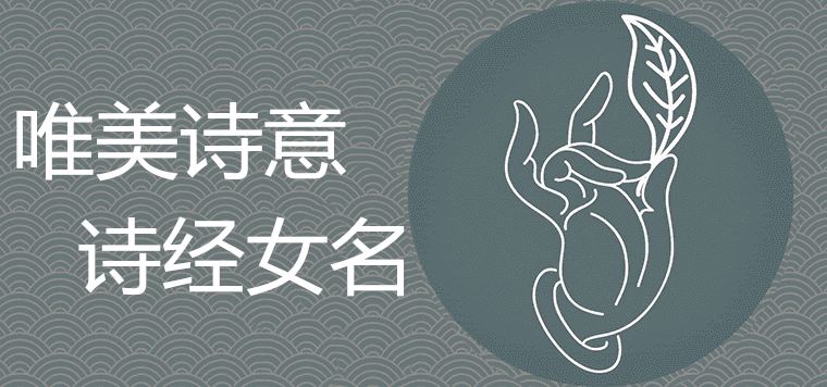 诗经取名女孩唯美诗意名字推荐大全