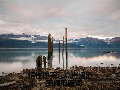 悟性逆天：高考悟道，手撕电磁炮小说全文（苏勤）精选免费小说_悟性逆天：高考悟道，手撕电磁炮小说全文最新章节列表