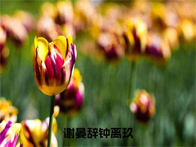 （钟离玖谢晏辞）谢晏辞钟离玖无弹窗免费阅读钟离玖谢晏辞大结局无删阅读_笔趣阁