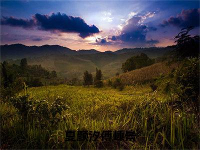 夏颜汐傅嵊景（夏颜汐傅嵊景）是什么小说-（夏颜汐傅嵊景）无弹窗免费阅读大结局最新章节列表_笔趣阁