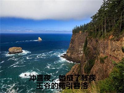 冲喜夜，她成了残疾王爷的药引容洛（殷无双容洛）小说精彩免费内容_冲喜夜，她成了残疾王爷的药引容洛最新章节全文阅读（殷无双容洛）