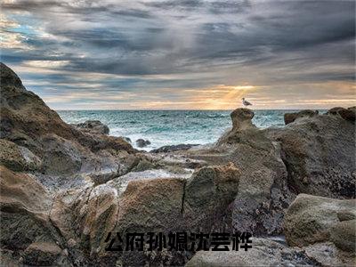 公府孙媳沈芸桦（顾鄞沈芸桦）小说全文免费阅读正版无弹窗_（顾鄞沈芸桦）免费阅读无弹窗最新章节列表