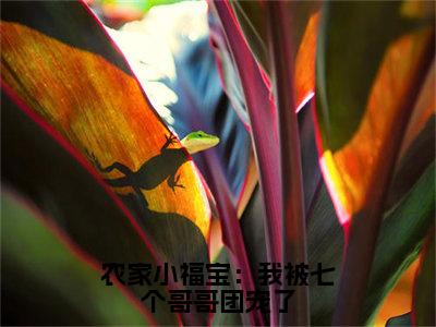 农家小福宝：我被七个哥哥团宠了小说（糖宝）全文免费阅读无弹窗大结局_农家小福宝：我被七个哥哥团宠了全文免费完结版阅读（糖宝）