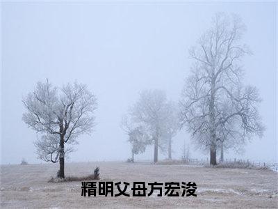 方宏浚方平安（精明父母方宏浚全文小说）全文免费阅读无弹窗大结局_精明父母方宏浚全文免费阅读最新章节列表