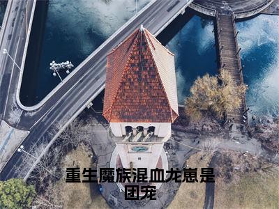 重生魔族混血龙崽是团宠小说（墨善安墨噬天）全文在线阅读无弹窗大结局重生魔族混血龙崽是团宠