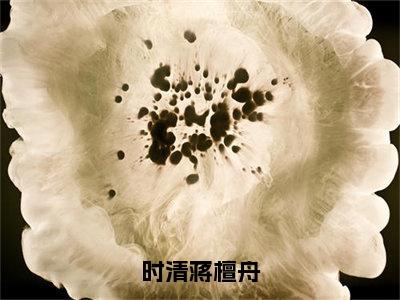 时清蒋檀舟（蒋檀舟时清）全文免费阅读无弹窗大结局_（蒋檀舟时清阅读无弹窗）时清蒋檀舟小说_笔趣阁