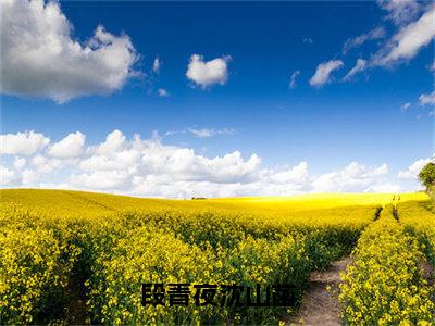 段青夜沈山菡小说沈山菡段青夜大结局阅读-新上热文小说段青夜沈山菡（沈山菡段青夜）讲的是什么