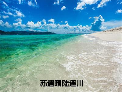 主角为陆遥川苏遇晴的小说-苏遇晴陆遥川（陆遥川苏遇晴）全文最新完整版阅读