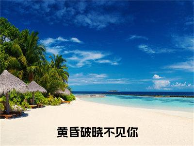 顾泽璟夏知冉小说免费阅读-黄昏破晓不见你言情小说顾泽璟夏知冉讲的是什么