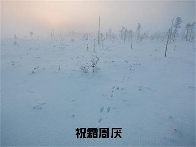 祝霜周厌小说（祝霜周厌全文完整版免费阅读）_祝霜周厌小说免费最新章节列表_笔趣阁