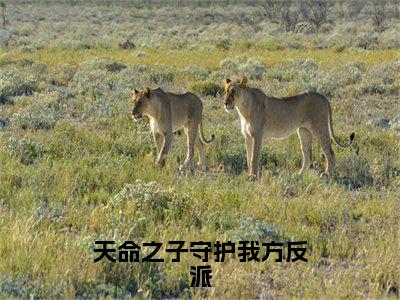 天命之子守护我方反派全文免费阅读无弹窗大结局_周阳最新章节列表笔趣阁