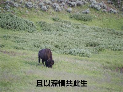 且以深情共此生（扁栀周岁淮）全文免费阅读无弹窗_（且以深情共此生小说免费阅读）最新章节列表笔趣阁