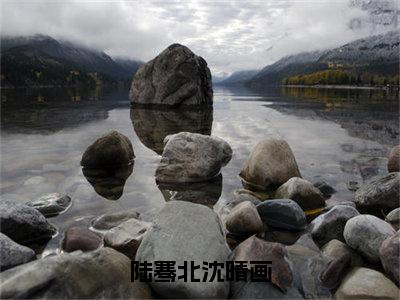 沈晴画陆骞北新书陆骞北沈晴画看全文小说-沈晴画陆骞北小说资源阅读陆骞北沈晴画