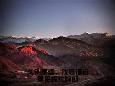 久别重逢，沈总请自重田栀沈鸣朗小说最新章节阅读-小说久别重逢，沈总请自重田栀沈鸣朗（田栀沈鸣朗）已完结小说精彩大结局