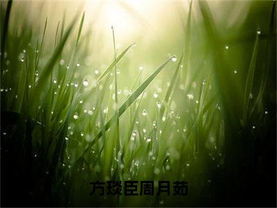 方琰臣周月茹小说免费阅读周月茹方琰臣完整版全文大结局