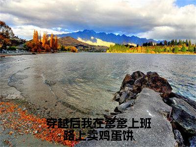 穿越后我在爹爹上班路上卖鸡蛋饼免费小说（柳思灵谢晏清）全本免费阅读-穿越后我在爹爹上班路上卖鸡蛋饼最新章节列表