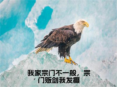 我家宗门不一般，宗门贩剑我发癫全文小说阿瑶免费在线分享-新书热荐免费小说阿瑶