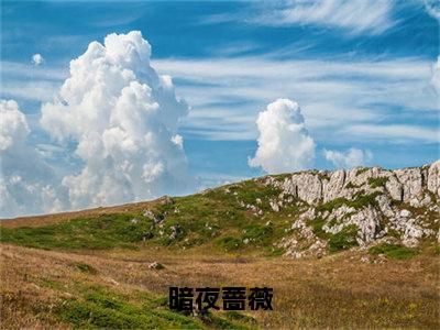 暗夜蔷薇（林无忧）小说精彩免费内容_暗夜蔷薇最新章节全文阅读（林无忧）