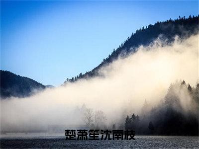 沈南枝楚萧笙（沈南枝楚萧笙）全文免费阅读无弹窗大结局_楚萧笙沈南枝最新章节列表