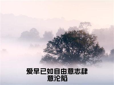 爱早已如自由意志肆意沦陷（黎衾沈吾之）全文完整版免费阅读_爱早已如自由意志肆意沦陷最新章节列表_笔趣阁（黎衾沈吾之）