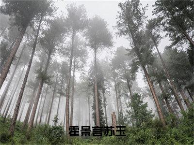 霍景言苏玉高赞小说（苏玉霍景言）完结阅读_霍景言苏玉全文完整版免费阅读最新章节列表