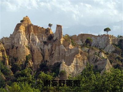 谢妄野秦栀小说（秦栀谢妄野）全文免费阅读无弹窗大结局_谢妄野秦栀完整版最新阅读_笔趣阁（秦栀谢妄野）