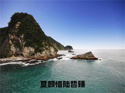 【新书】《夏颜惜陆哲臻》全文免费阅读无弹窗大结局-夏颜惜陆哲臻全文全章节免费阅读