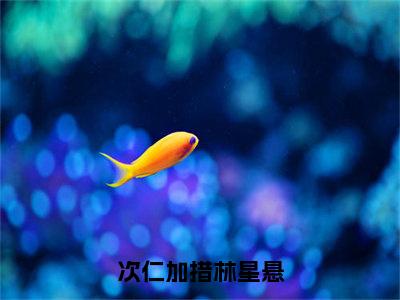 林星悬次仁加措（次仁加措林星悬）最后结局如何-最火热点小说次仁加措林星悬最新更新