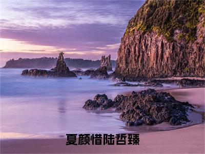 夏颜惜陆哲臻（夏颜惜陆哲臻）全文免费阅读无弹窗大结局_夏颜惜陆哲臻最新章节列表-笔趣阁夏颜惜陆哲臻