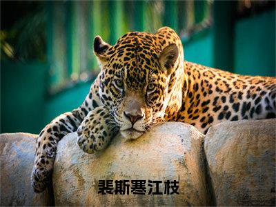 裴斯寒江枝（江枝裴斯寒）全文免费阅读无弹窗_裴斯寒江枝完整版最新阅读_笔趣阁（江枝裴斯寒）