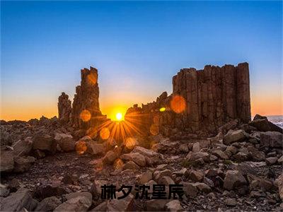 林夕沈星辰全文（林夕沈星辰）完整版小说阅读_林夕沈星辰全本列表免费笔趣阁（林夕沈星辰）